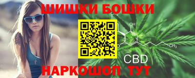 тгк Канаш