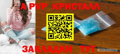 круглые Камышлов
