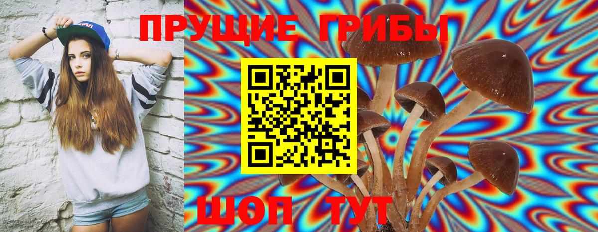 Псилоцибиновые грибы Cubensis  Вход с VPN  Воскресенск 